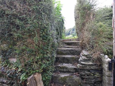 Picture 13